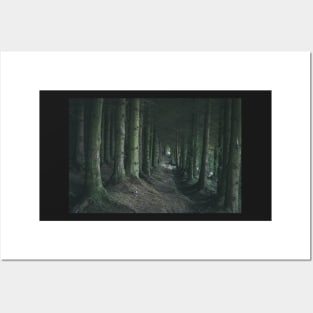 Light in the end of dark forest Posters and Art